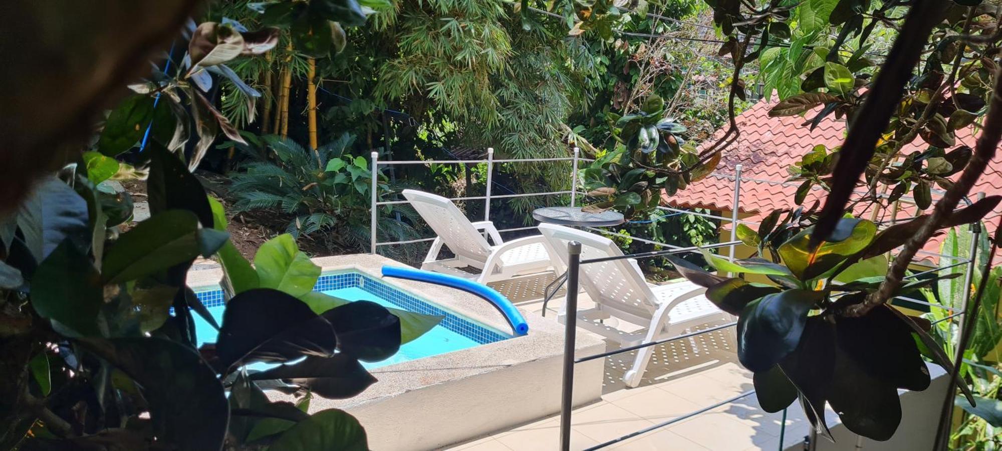 Jungle Beach Bungalow With Ac & Fiber Optic Puerto Viejo de Talamanca Luaran gambar